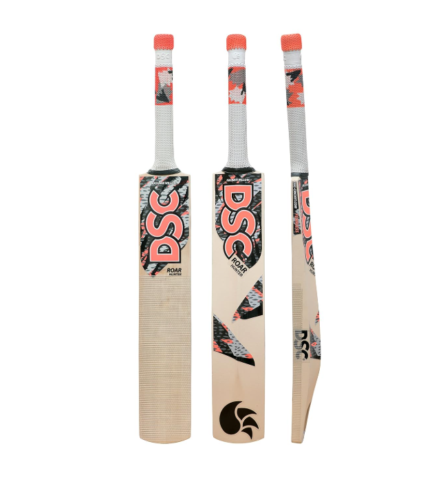 DSC Kashmir Willow Bat