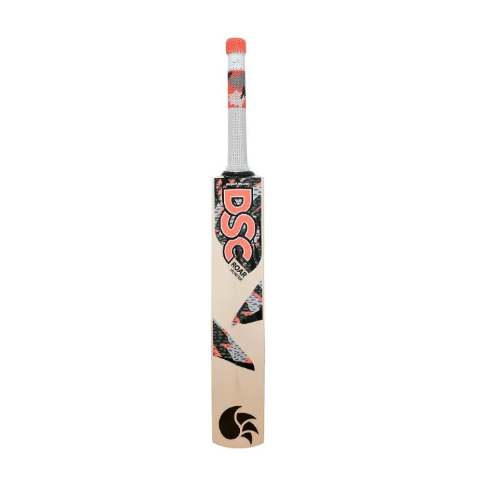 DSC Kashmir Willow Bat