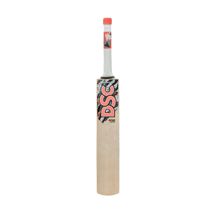 DSC Kashmir Willow Bat