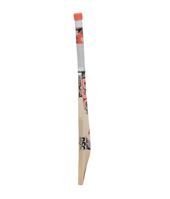 DSC Kashmir Willow Bat